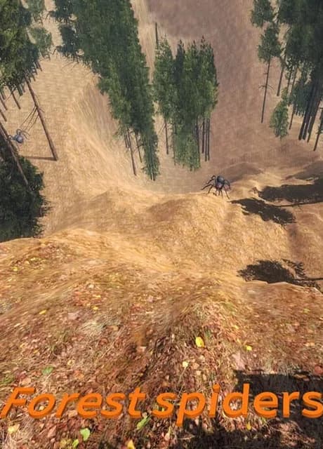 Forest spiders