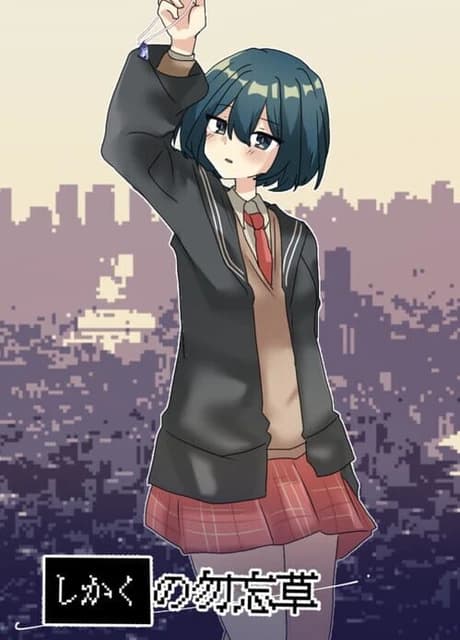 Forget-Me-Not of the Tetragon