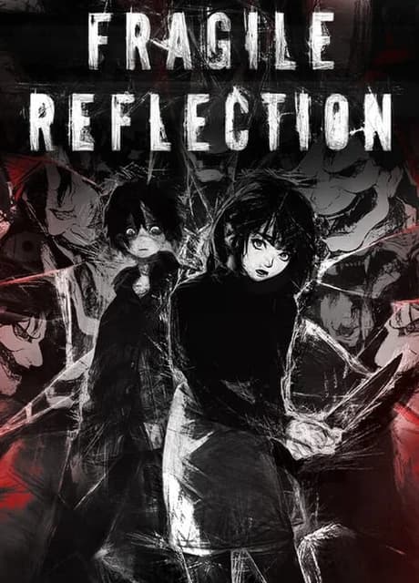 Fragile Reflection