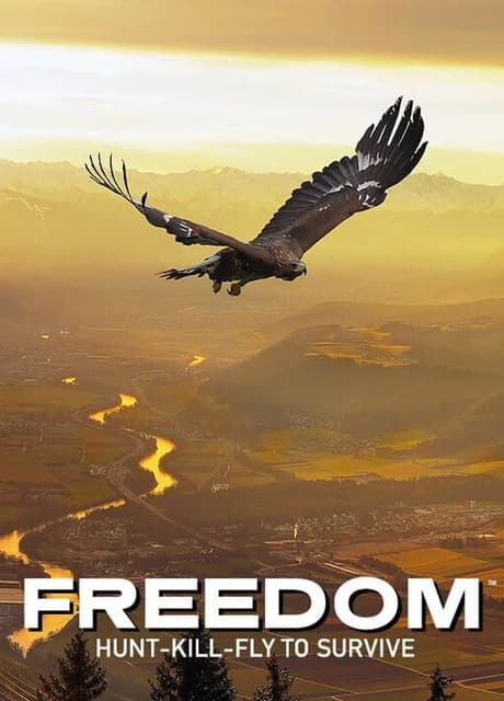 Freedom