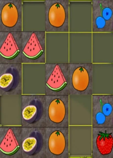 Fruit Arranger