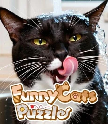 Funny Cats Puzzle