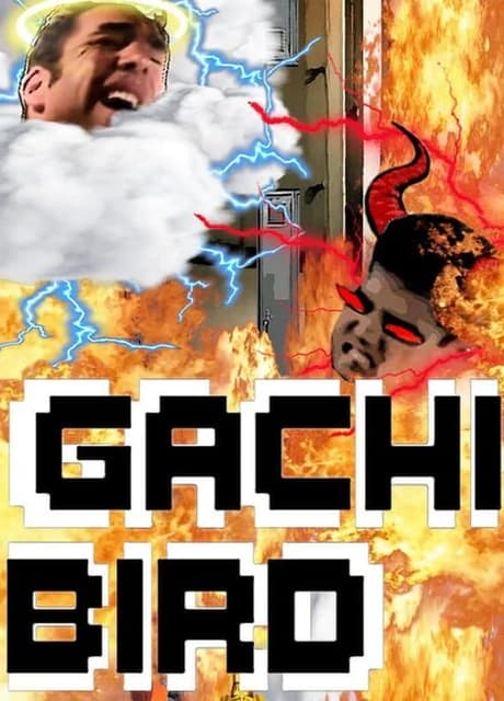 Gachi Bird