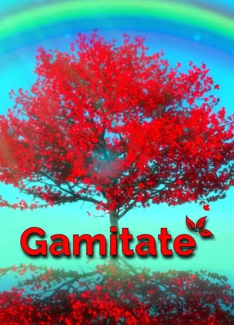 Gamitate the Meditation Game