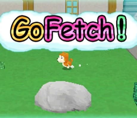 Go Fetch!