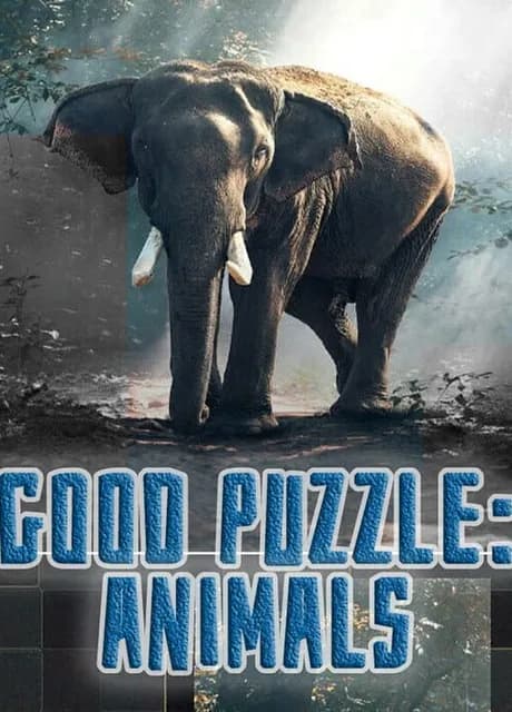 Good puzzle: Animals