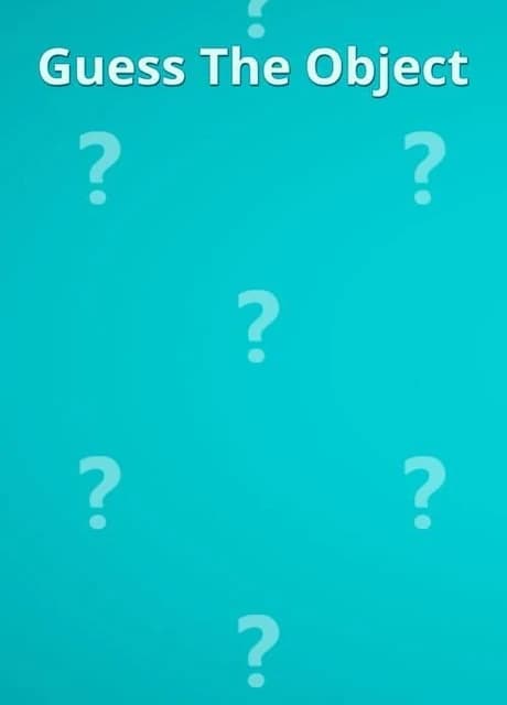 Guess The Object