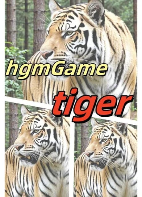 HgmGame-Tiger