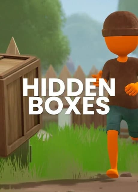 Hidden Boxes