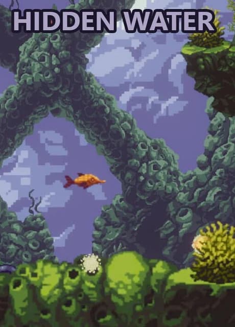 Hidden Water