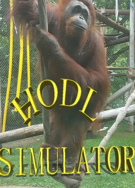 Hodl Simulator