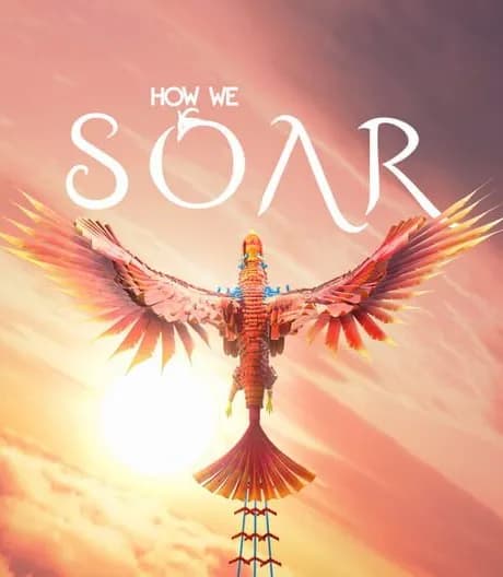How We Soar