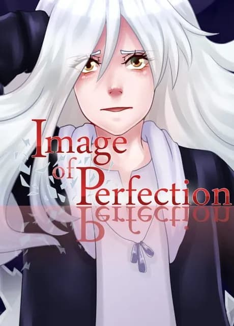 Image of Perfection