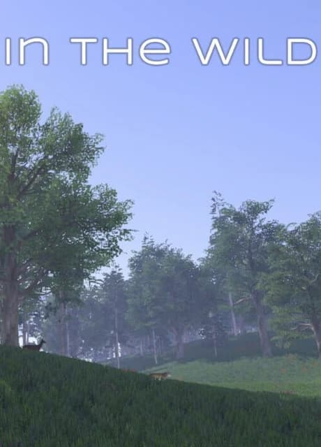 In the Wild