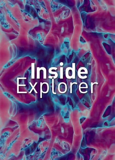 Inside Explorer