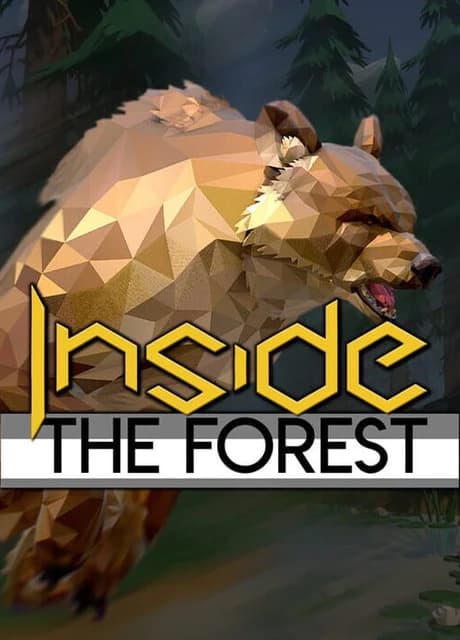 Inside the Forest