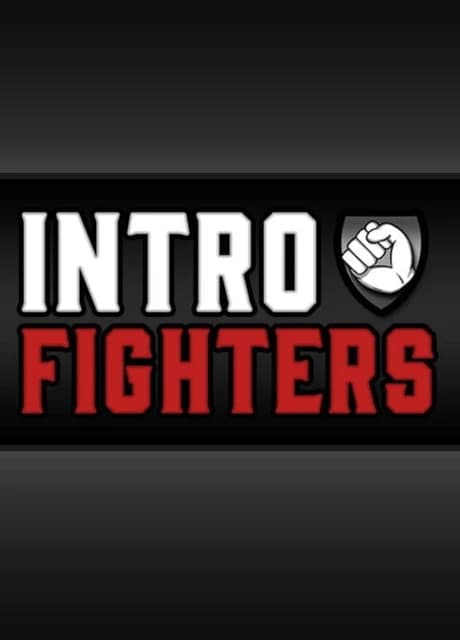 Intro Fighters