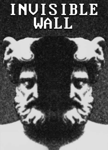 Invisible Wall