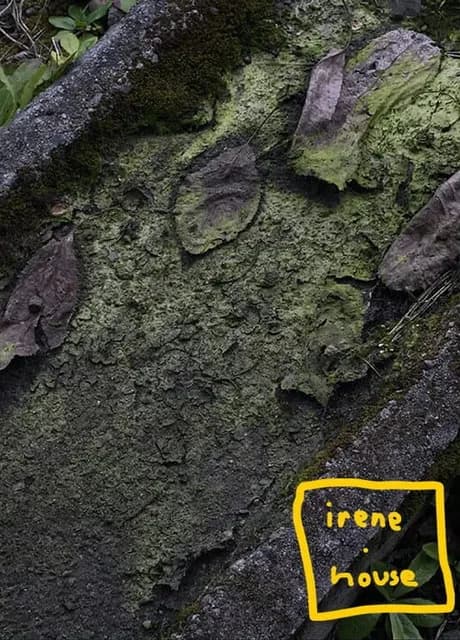 Irene.House