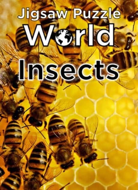 Jigsaw Puzzle World: Insects
