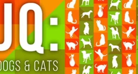 JQ: dogs & cats