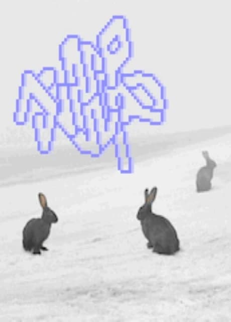 Jumpwad