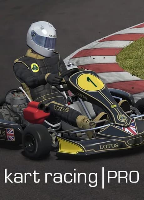 Kart Racing Pro