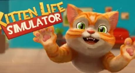 Kitten Life Simulator