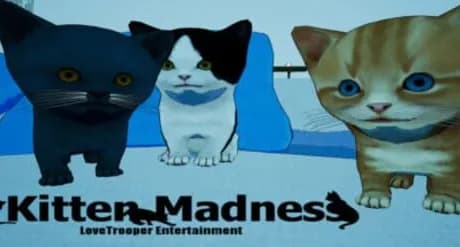 Kitten Madness