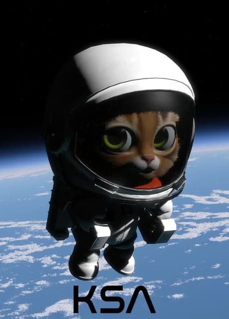 Kitten Space Agency