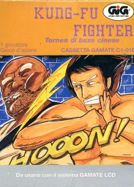 Kung-Fu Fighter
