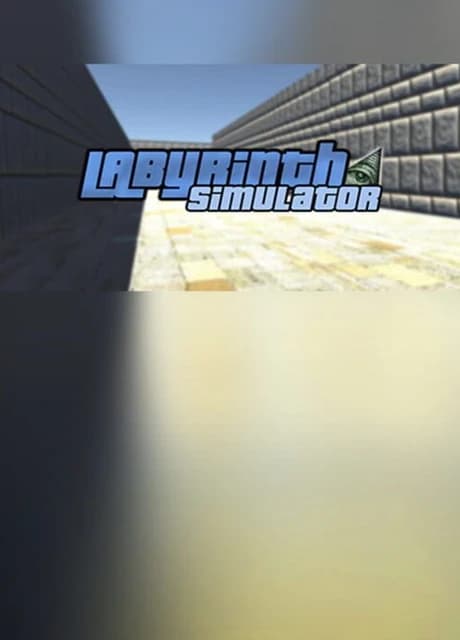 Labyrinth Simulator