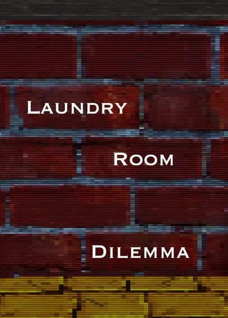 Laundry Room Dilemma