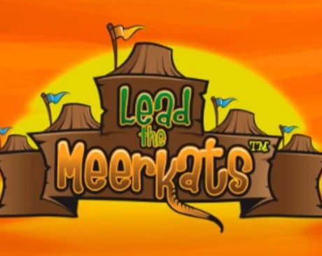 Lead the Meerkats