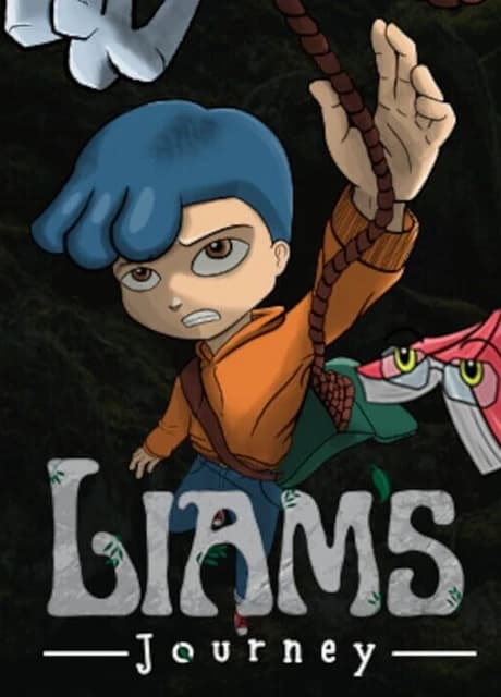 Liam's Journey