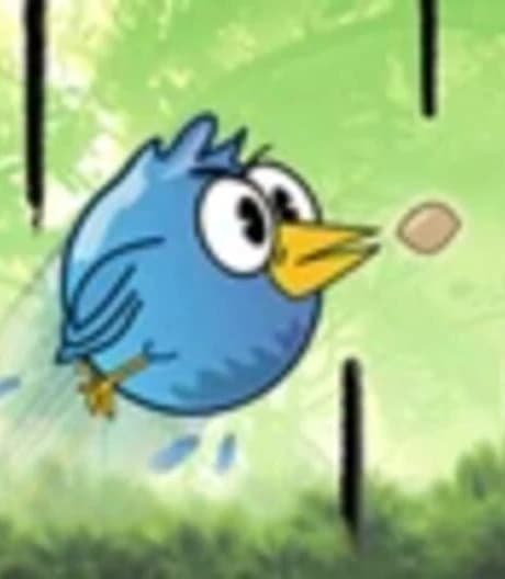 Line Birds
