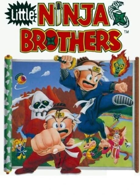 Little Ninja Brothers