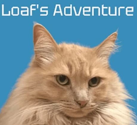 Loaf's Adventure