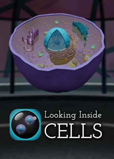 Looking Inside Cells