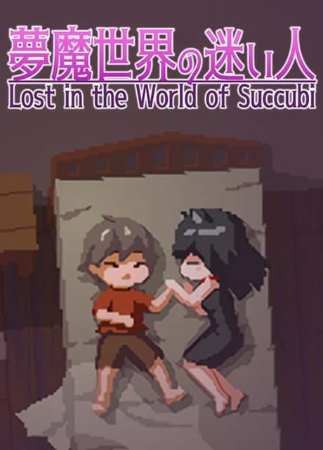 Lost in the World of Succubi