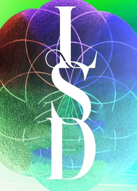 LSD: Dream Emulator Retro