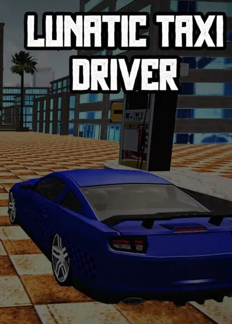Lunatic Taxi Driver