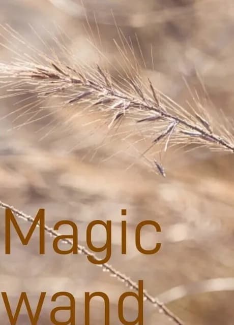 Magic Wand