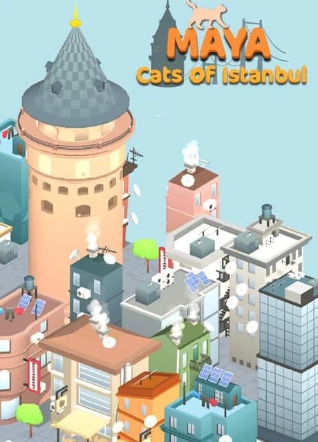 Maya: Cats of Istanbul