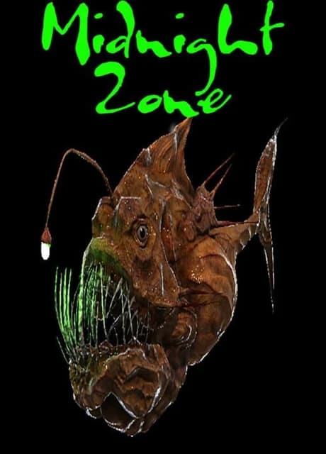 Midnight Zone
