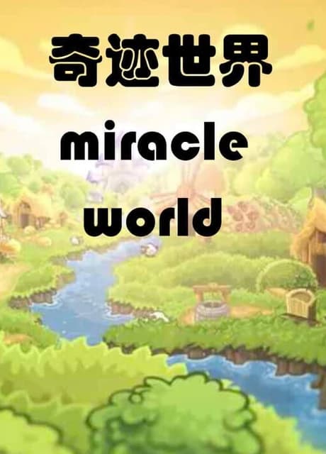Miracle World