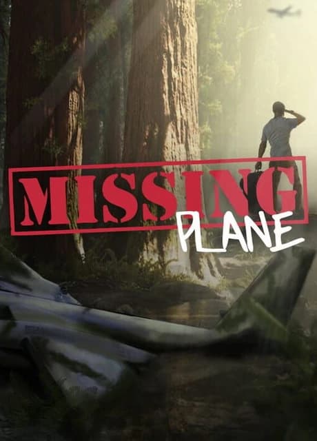 Missing Plane: Survival