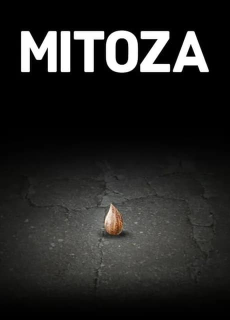 Mitoza