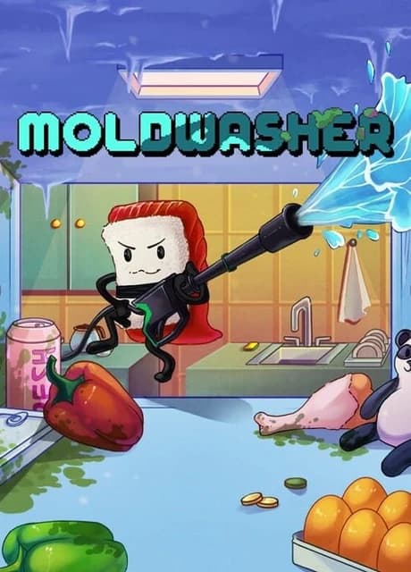 Moldwasher