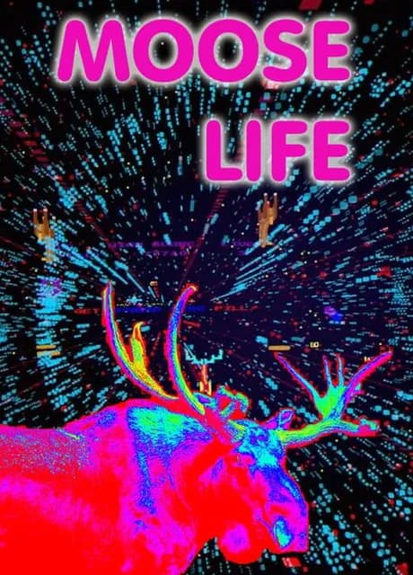Moose Life